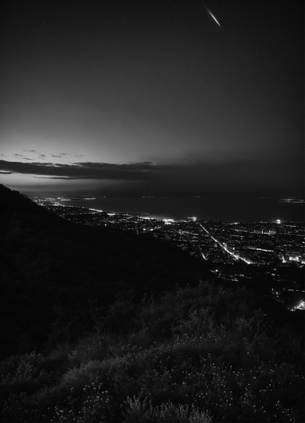 Diamond Painting, Atmosphere, Sky, Plant, Black-and-white, Natural Landscape