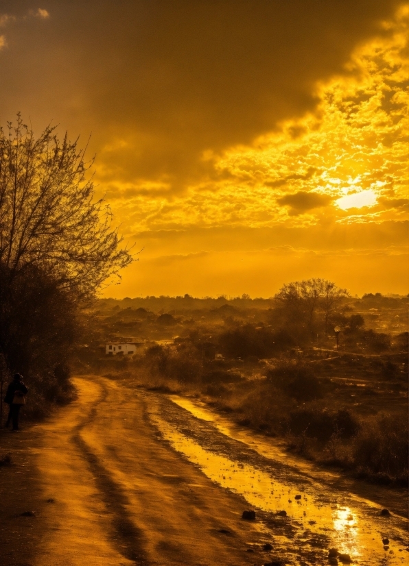 Eames, Cloud, Sky, Atmosphere, Ecoregion, Amber