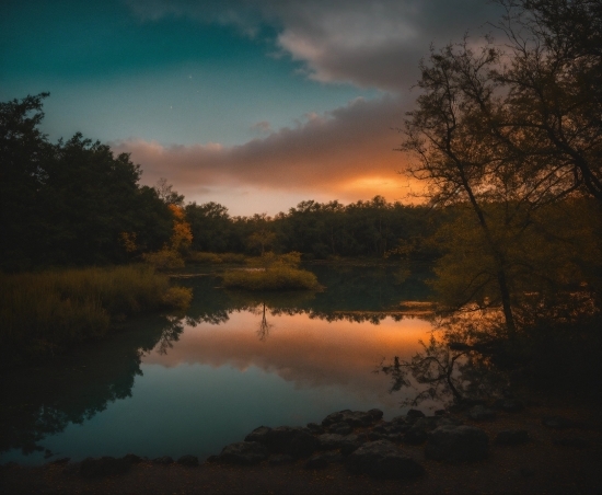 Framed Prints, Cloud, Water, Sky, Atmosphere, Plant