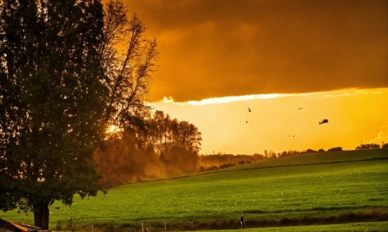 Framed Wall Art, Cloud, Plant, Sky, Atmosphere, Ecoregion