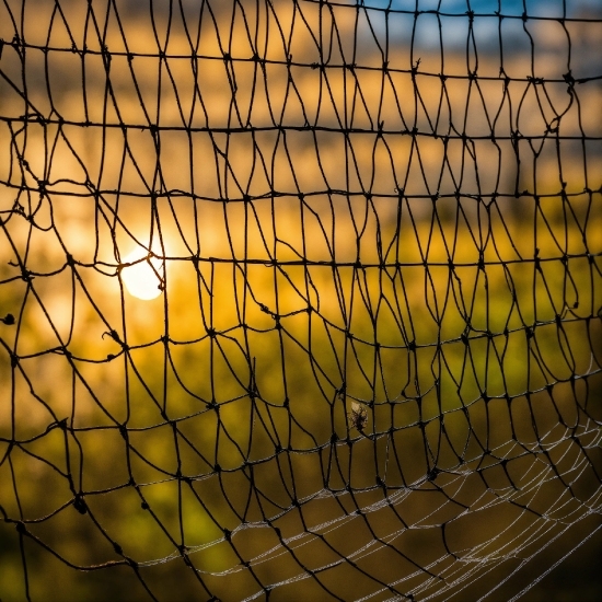 Free Png Images For Personal Use, Amber, Mesh, Fence, Wire Fencing, Sunlight