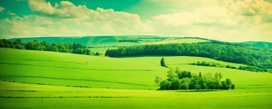 Free Vector Images, Cloud, Sky, Green, Plant, Natural Landscape