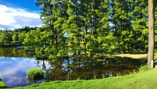 Home Plans, Water, Plant, Cloud, Natural Landscape, Tree