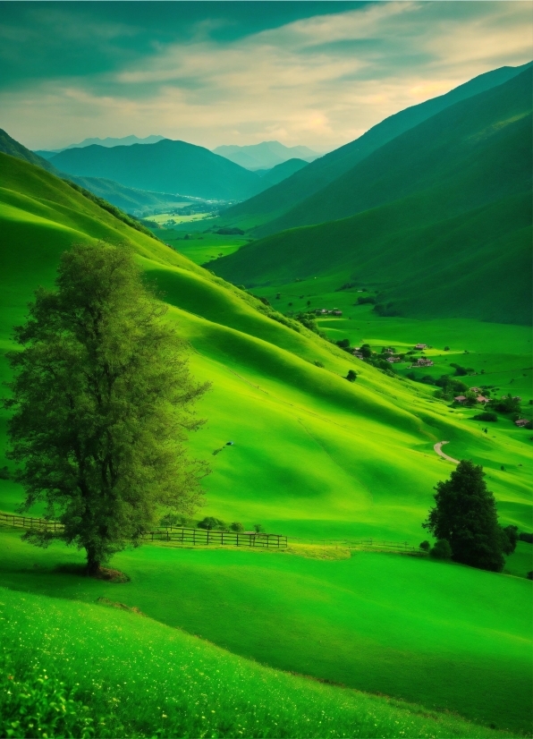 Interior Design Ideas, Cloud, Sky, Mountain, Plant, Green