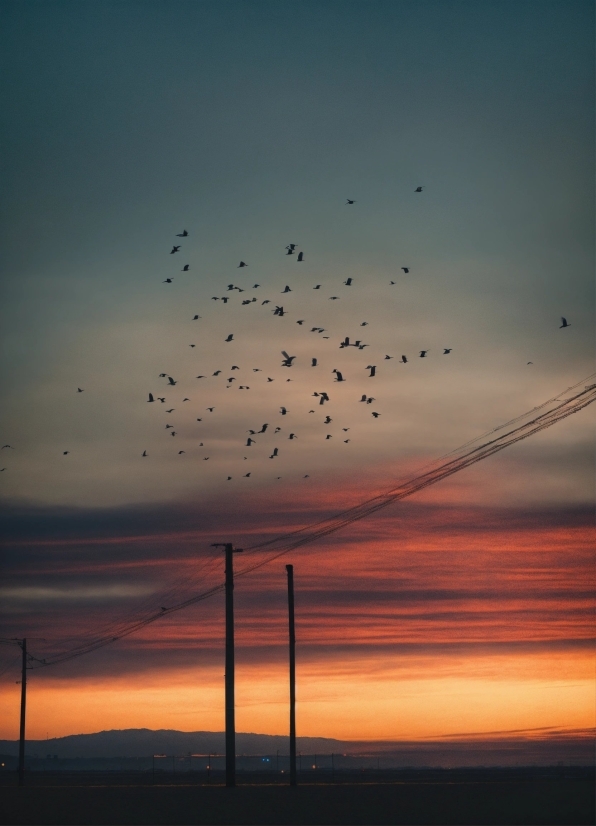 Leonardo Da Vinci Paintings, Bird, Sky, Cloud, Atmosphere, Afterglow