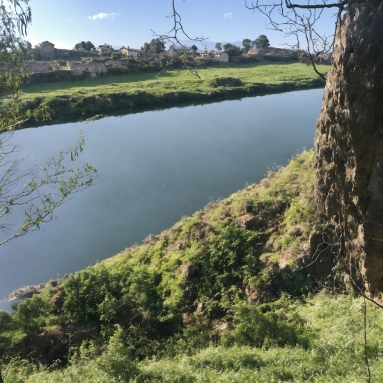 Metropolitan Museum, Water, Plant, Sky, Water Resources, Ecoregion