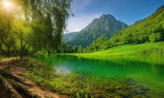 Mood Board, Water, Sky, Plant, Water Resources, Cloud