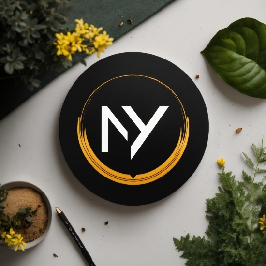 Nero Platinum Suite Download, Dishware, Tableware, Ingredient, Table, Font