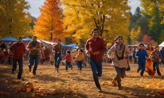 People In Nature, Tree, Plant, Orange, Yellow, Happy