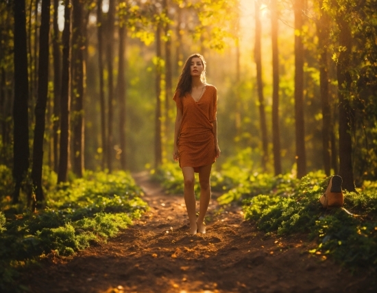 Photo 4k Converter, Plant, People In Nature, Tree, Flash Photography, Wood