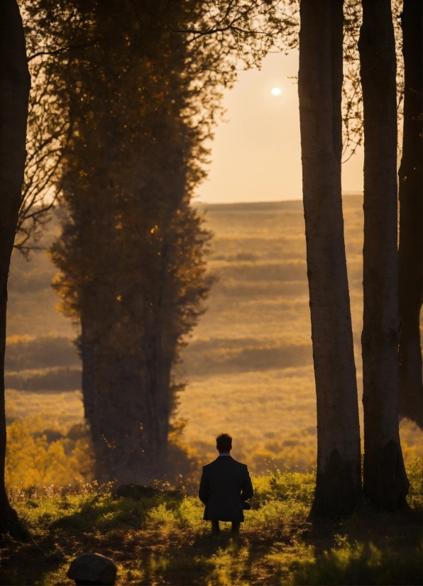 Photo Ai Editor, Plant, Atmosphere, Sky, Ecoregion, People In Nature