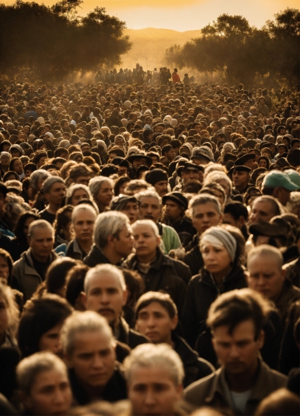 Photo Background Add Online, Head, Human, Crowd, Sky, People In Nature