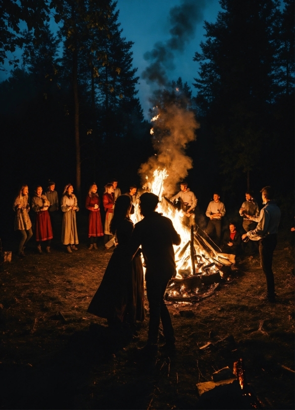 Photo Background Change Passport Size, Bonfire, Natural Environment, People In Nature, Tree, Fire