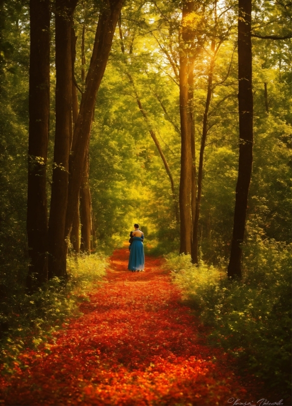 Plant, People In Nature, Tree, Natural Landscape, Orange, Gesture