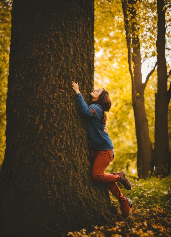 Plant, People In Nature, Tree, Wood, Branch, Flash Photography