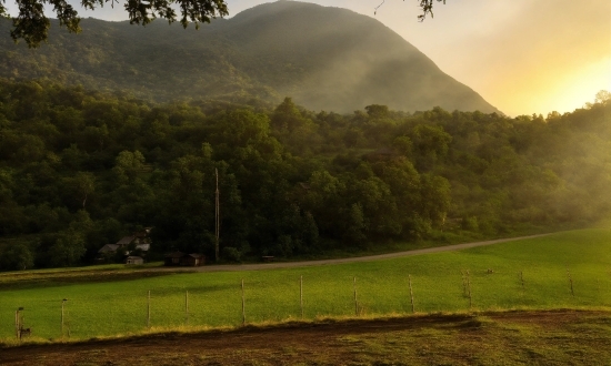 Plant, Sky, Mountain, Cloud, Nature, Natural Environment