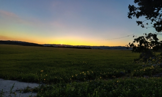 Plant, Sky, Natural Landscape, Afterglow, Sunlight, Cloud