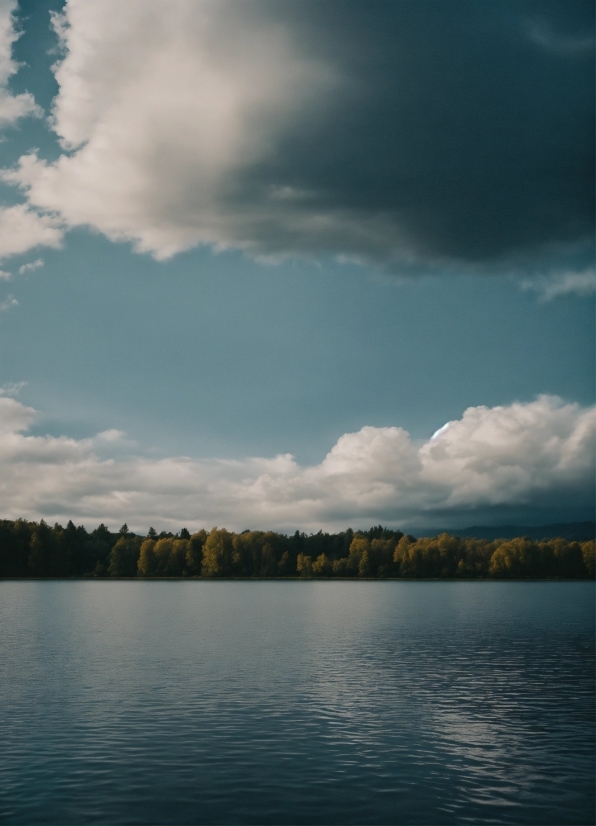 Shower Tile Ideas, Cloud, Water, Sky, Atmosphere, Plant