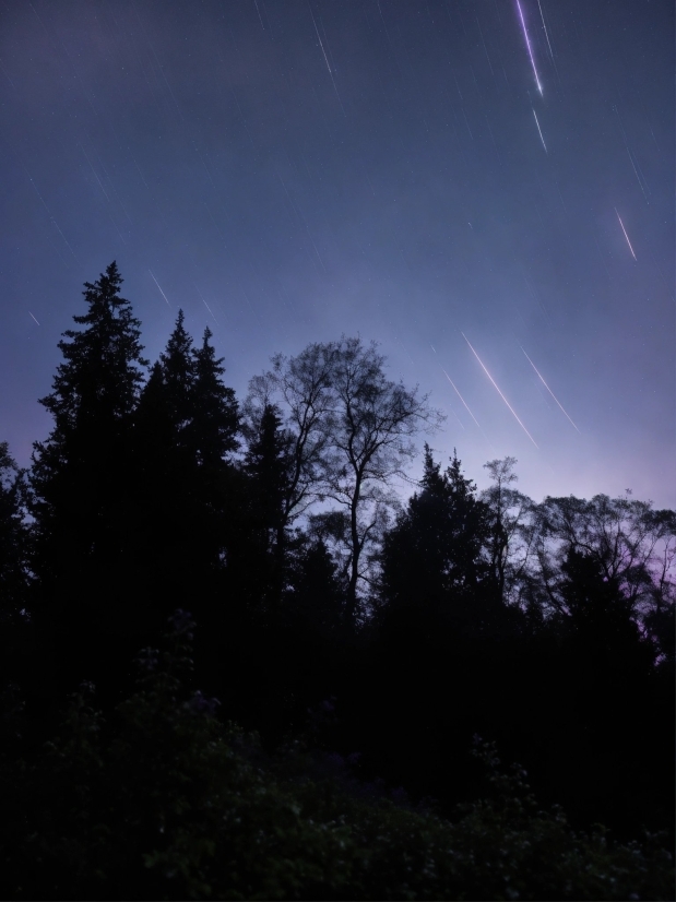 Sky, Atmosphere, Natural Landscape, Cloud, Tree, Atmospheric Phenomenon