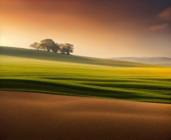 Sky, Cloud, Atmosphere, Afterglow, Natural Landscape, Plant