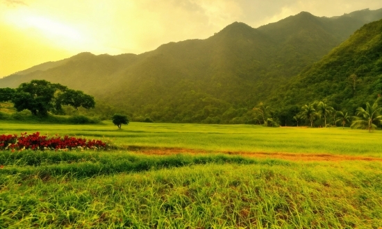 Sky, Mountain, Plant, Cloud, Green, People In Nature