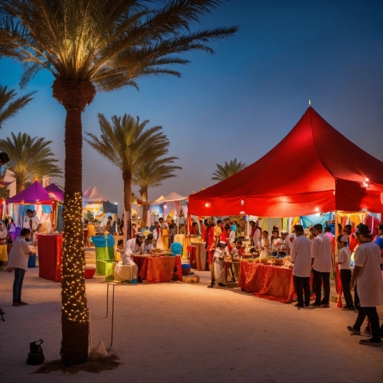 Sky, Plant, Entertainment, Tree, Travel, People On Beach