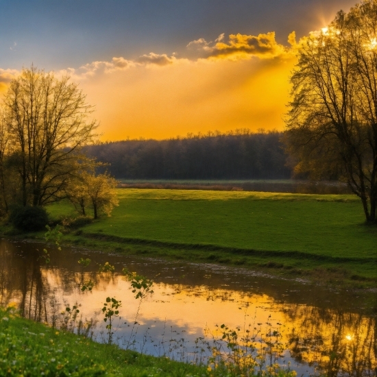 Stock Illustrations, Cloud, Water, Sky, Plant, Tree