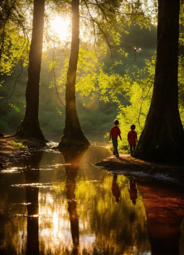 Tools For Video Making, Water, People In Nature, Sky, Natural Landscape, Natural Environment