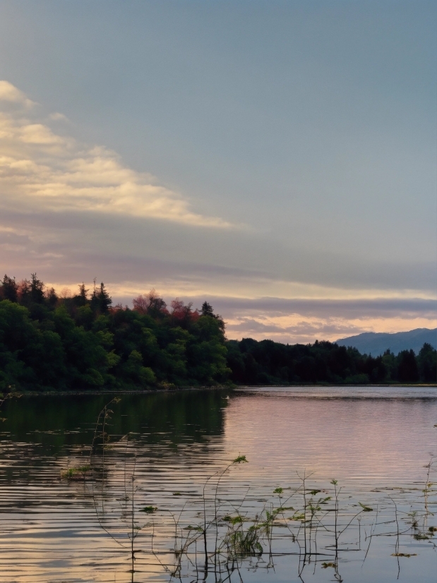 Ux Design, Cloud, Water, Sky, Atmosphere, Plant