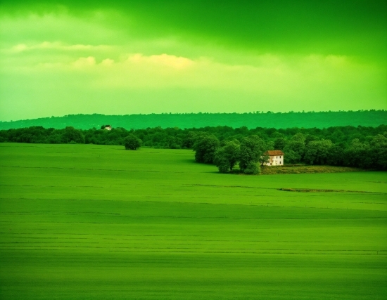 Wall Art Painting Simple, Sky, Cloud, Green, Plant, Ecoregion