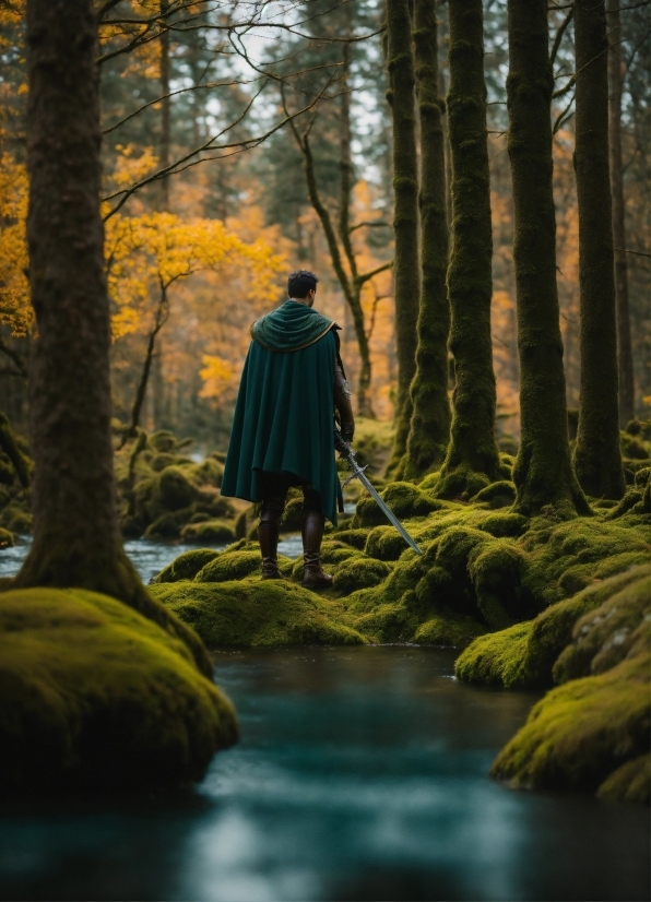 Water, Plant, People In Nature, Natural Landscape, Natural Environment, Branch