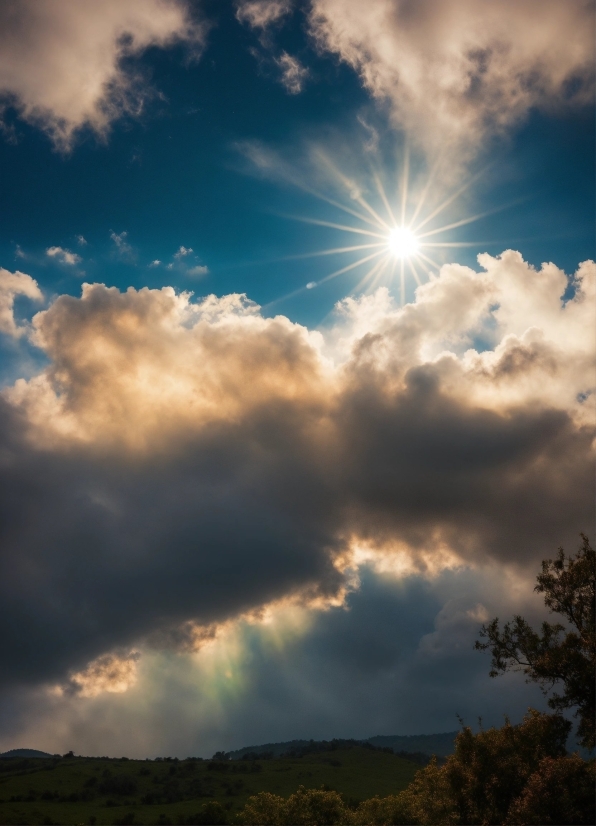 Web App Graphics, Cloud, Sky, Atmosphere, Daytime, Plant