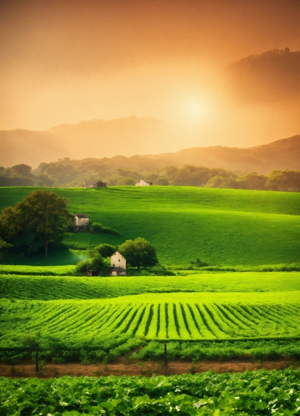 Xara Photo & Graphic Designer 2022, Sky, Plant, Cloud, Mountain, Green