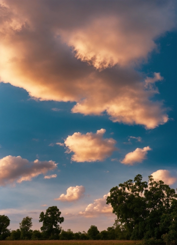 Xxxtentacion Displate, Cloud, Sky, Plant, Atmosphere, Afterglow