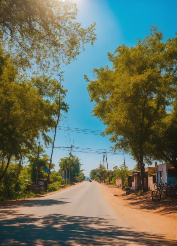 You Poster, Sky, Cloud, Daytime, Plant, Road Surface