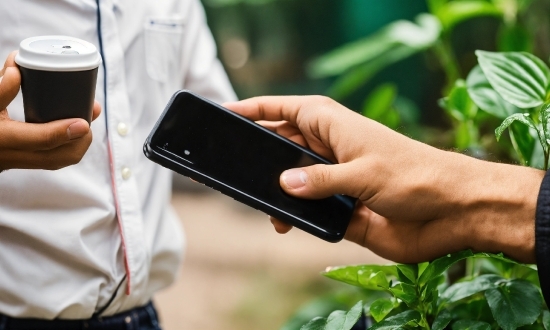 15 August Image, Hand, Drinkware, Mobile Phone, Communication Device, Plant