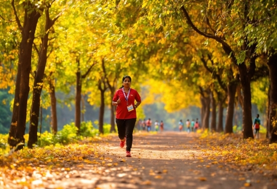 Anime Scenery Wallpaper 4k, Plant, People In Nature, Tree, Leaf, Natural Environment