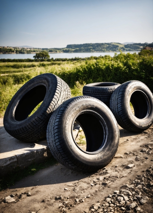 Bear Stock Image, Tire, Sky, Wheel, Automotive Tire, Synthetic Rubber