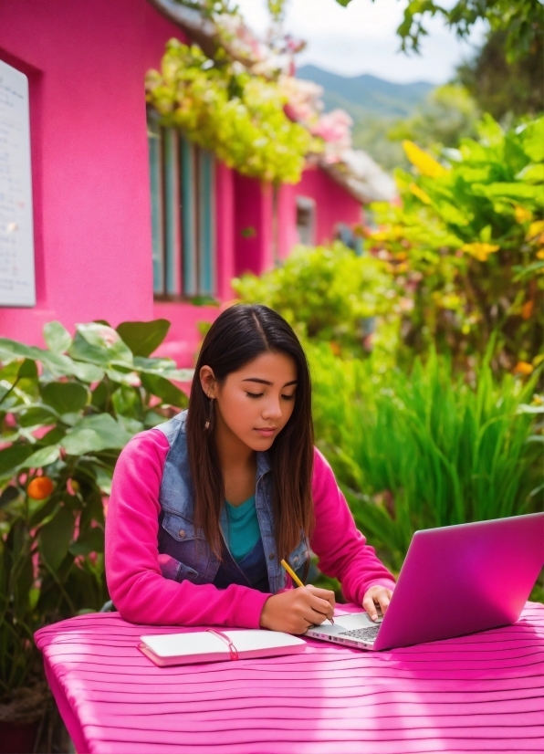 Billboard Stock Photo, Plant, Computer, Green, Botany, Laptop