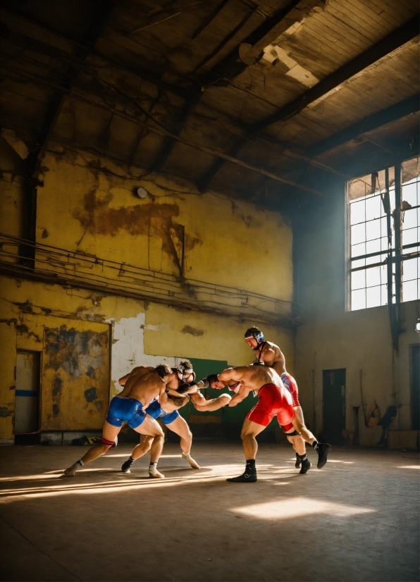 Bird Stock Image, Window, Shorts, Performing Arts, Entertainment, Choreography