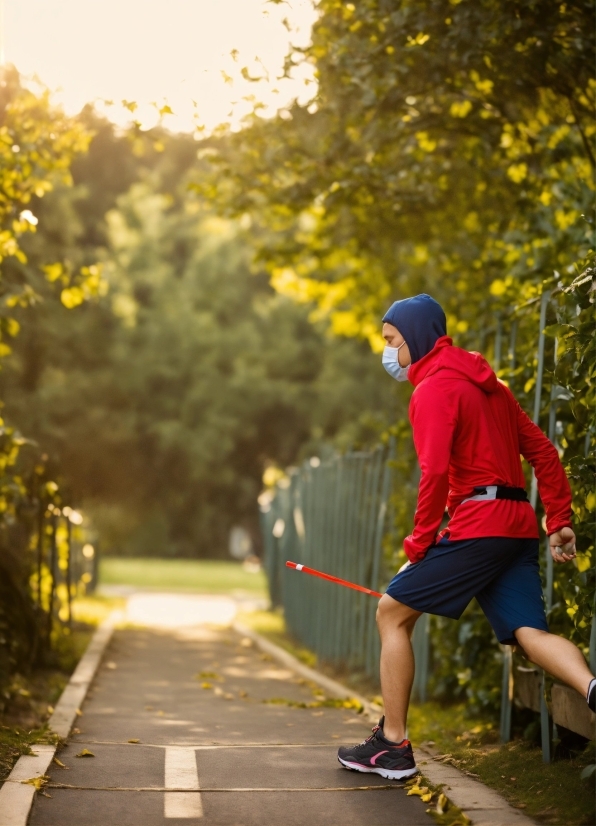 Brain Stock Photo, Footwear, Plant, Shorts, Green, Nature