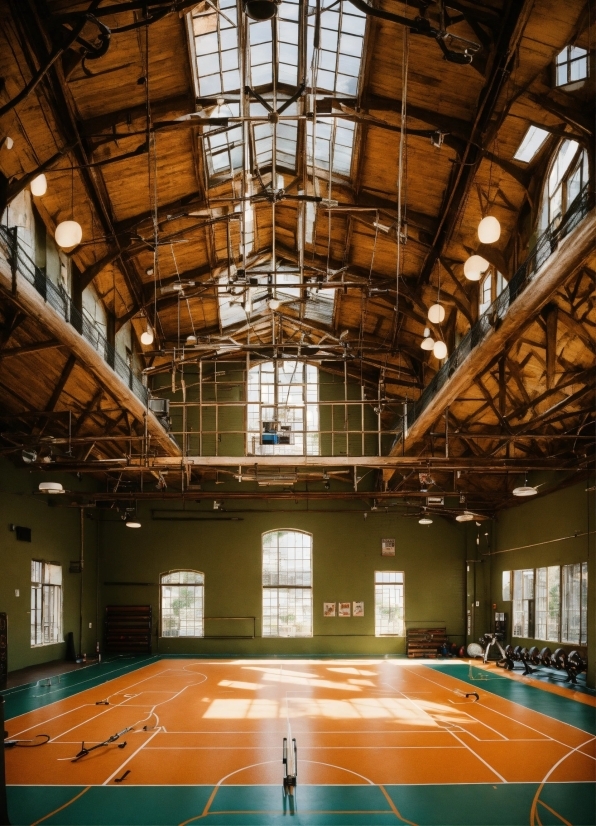 Camera Illustration, Field House, Light, Building, Lighting, Line