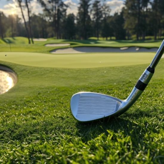 Ceo Stock Photo, Plant, Daytime, Golf, Sky, Golf Equipment