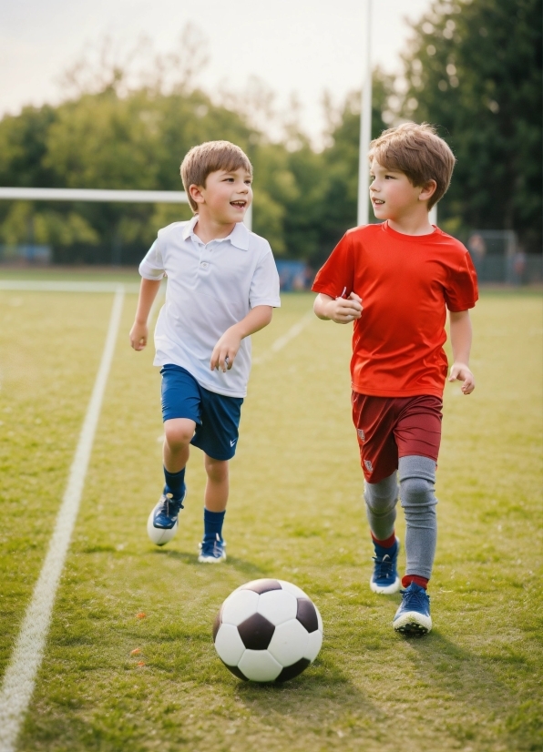 Cloud Freepik, Shorts, Daytime, Sports Equipment, Soccer, Vertebrate