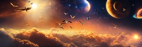 Cloud, Sky, Atmosphere, Bird, Light, Moon