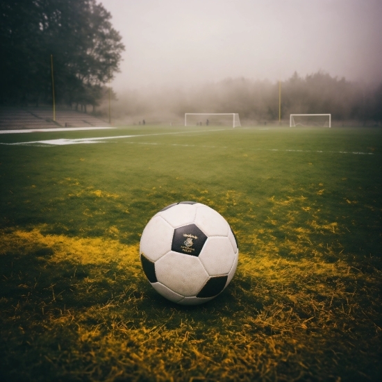 Cool Backgrounds Anime, Sky, Atmosphere, Daytime, Plant, Sports Equipment