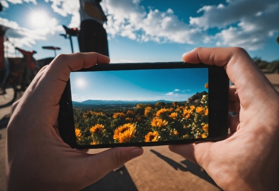 Copyright Free Study Images, Sky, Cloud, Hand, Plant, Gadget