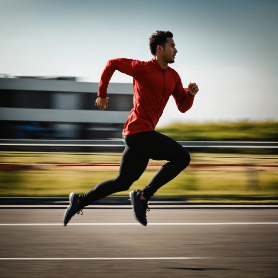 Cow Stock Photo, Sky, Track And Field Athletics, Sports Uniform, Player, Flash Photography