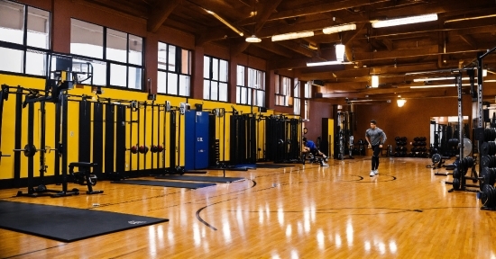 Crying Stock Image, Hall, Building, Wood, Field House, Floor