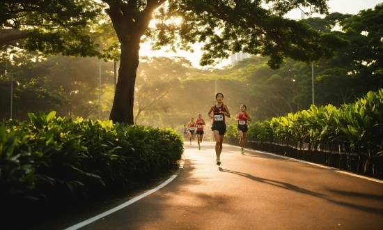 Freepik Ai, Plant, Shorts, Tree, Sky, People In Nature